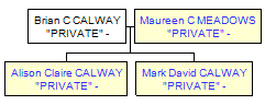 Mini tree diagram